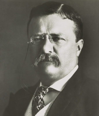 Theodore Roosevelt 393205 1920 342x400
