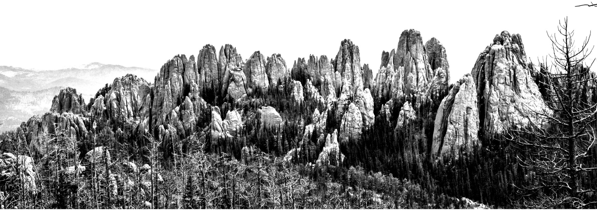 Stock Photo View Form Harney Peak At The Rock Formations In Custer State Park Cathedral Spires And Needles 204535144