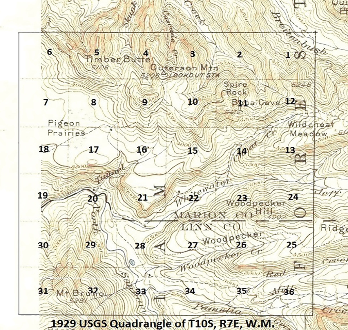 2 1929 Topo  Enlarged