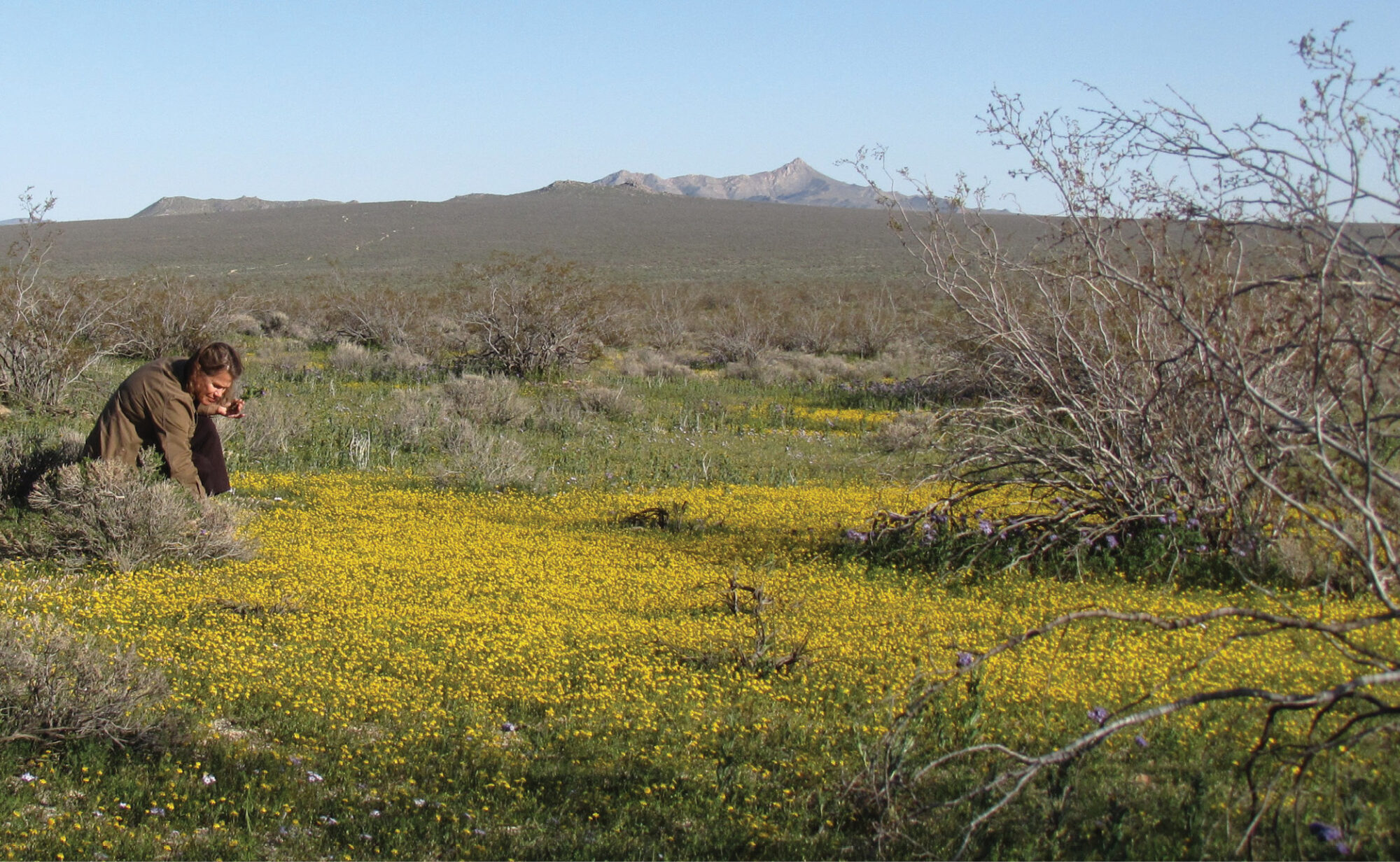 South End Of The Sierra Nevadas