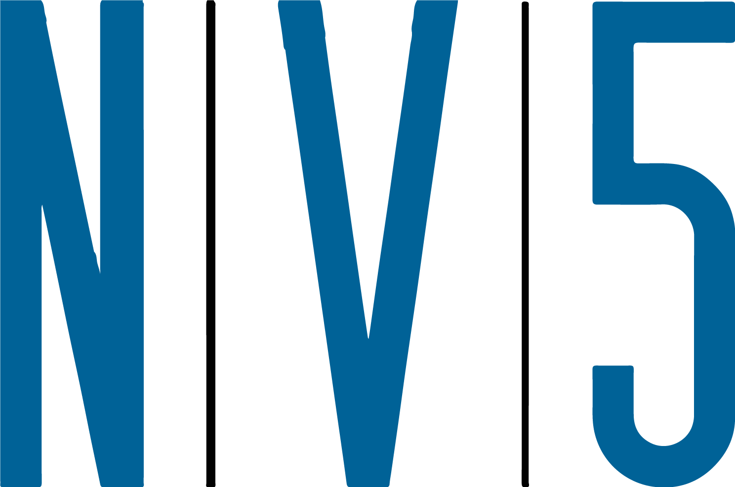 NV5 Global Symbol PNG